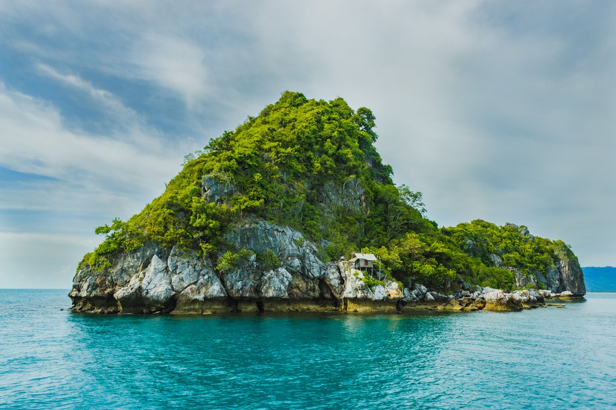 Mexico Blocks Royal Caribbean's Perfect Day Resort to Protect Its Mangroves and Reef
