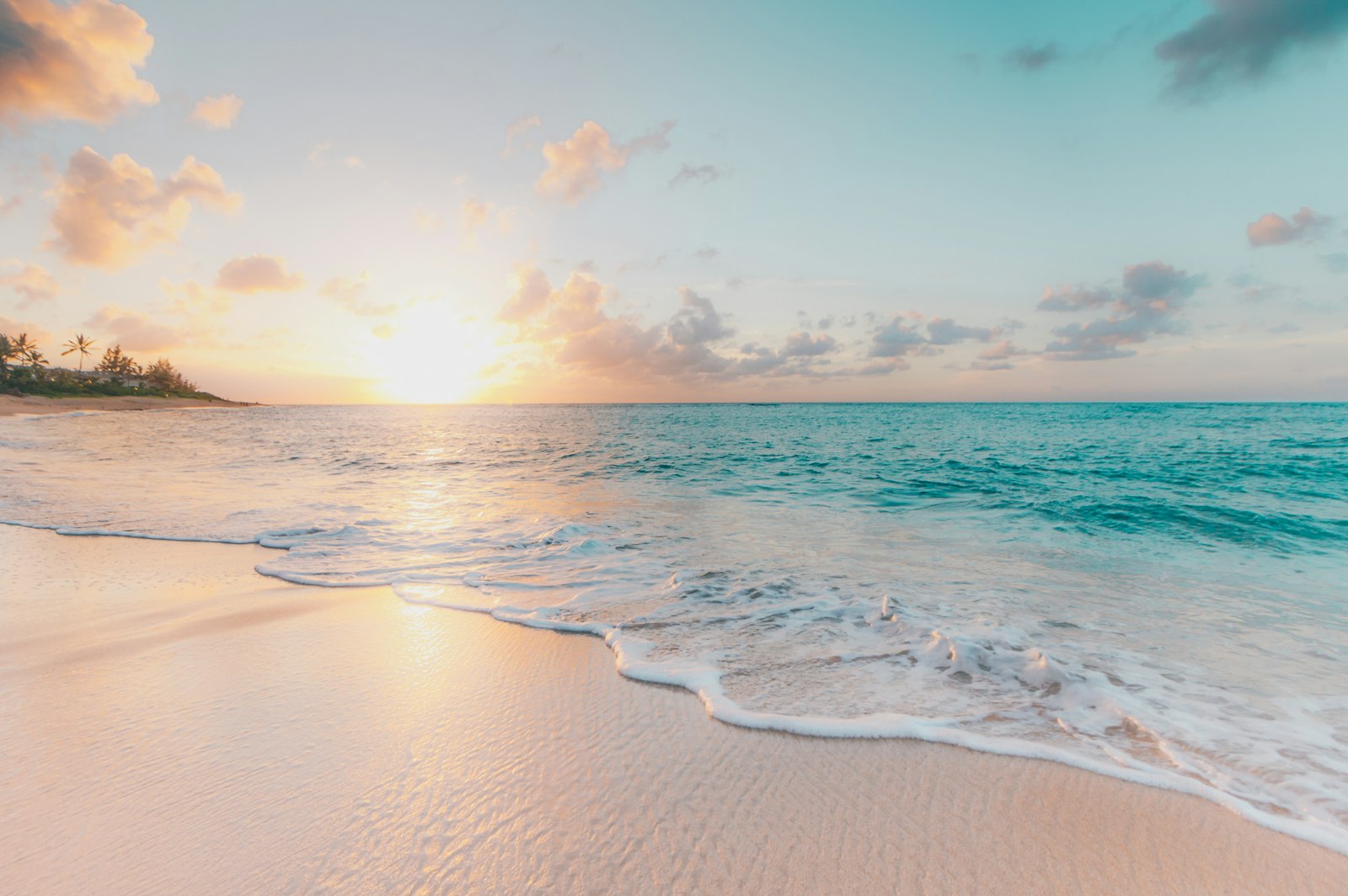 Tropical beach paradise